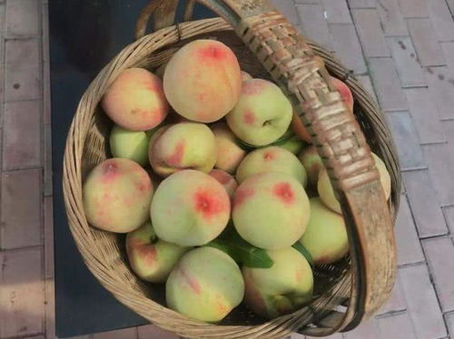 4种 水分很多的水果,桃子上榜,图3是夏天人们最爱吃的